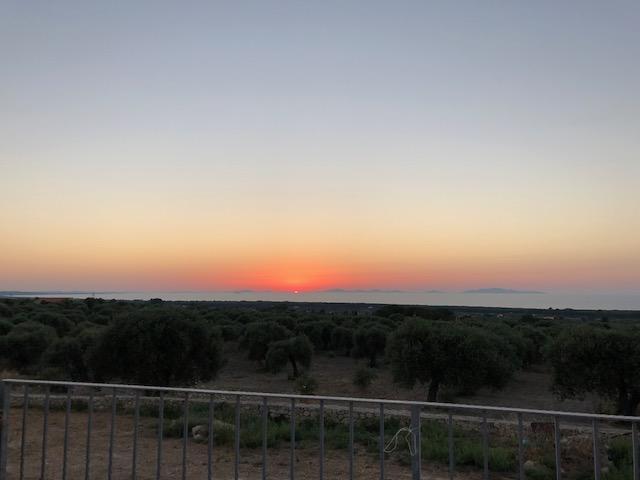 Serra Niedda Resort & Agriturismo Sorso Extérieur photo